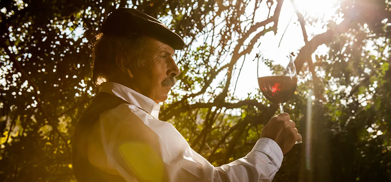 Passeggiata tra i filari di Colline del Vento