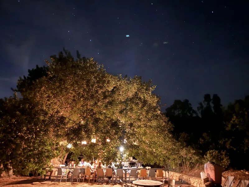 Cena in vigna a Colline del Vento