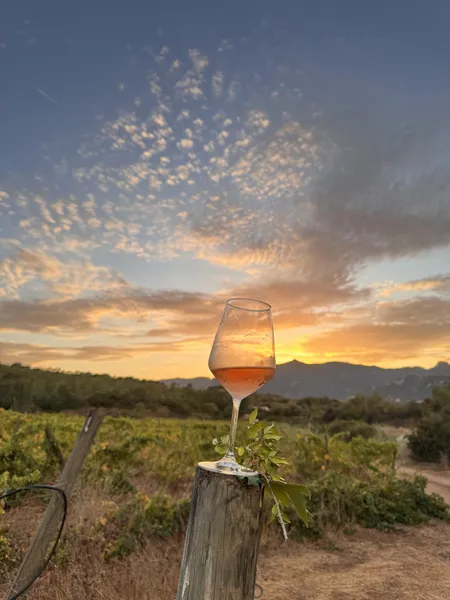 Calice di vino al tramonto nella vigna di Colline del Vento