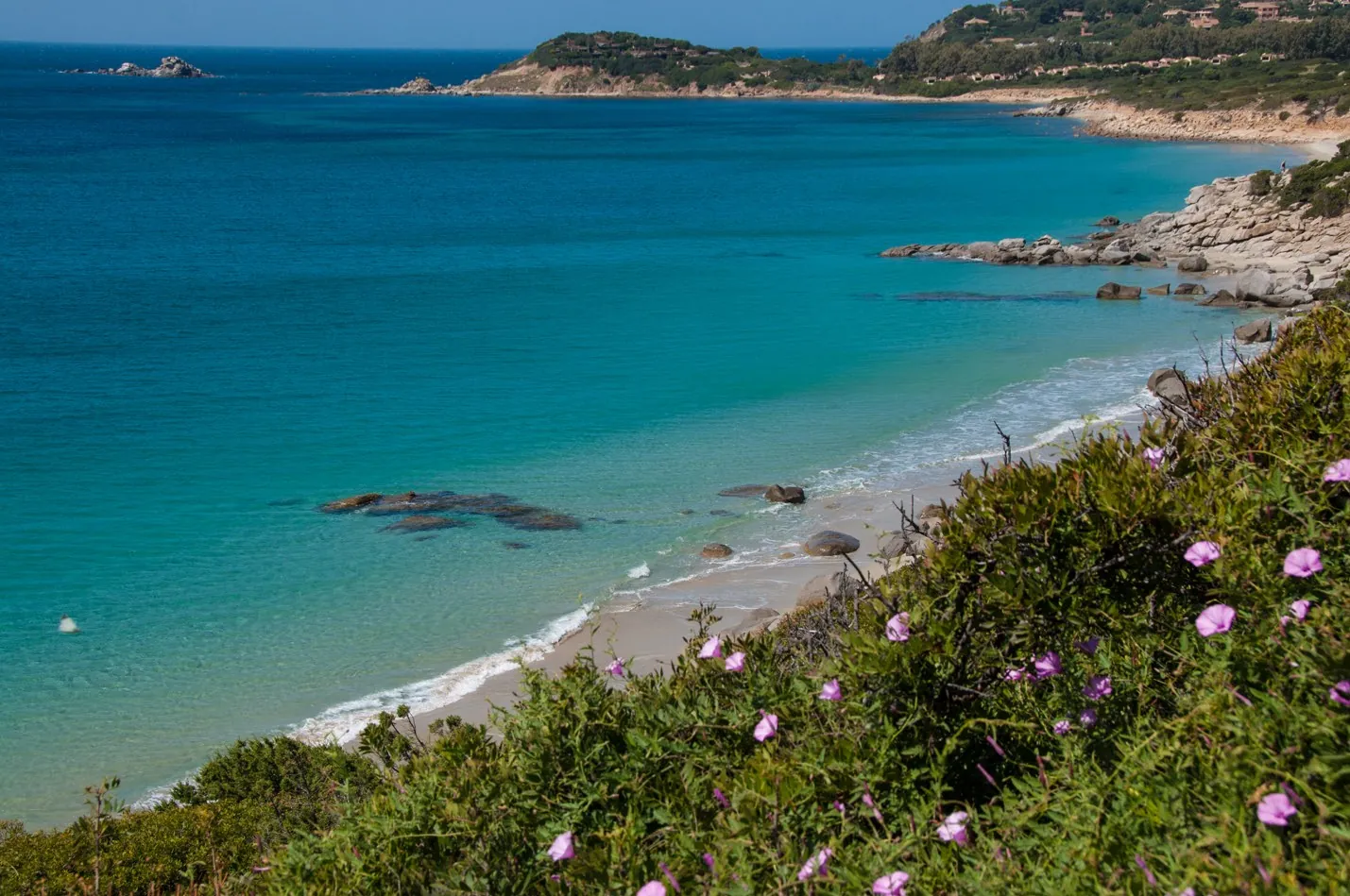 Spiaggia di Piscadeddus tra macchia mediterranea e fiori, Villasimius