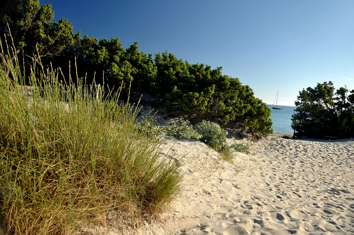 Dune con ginepri sulla spiaggia, Villasimius